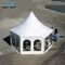 Güçlü Alüminyum Sekizgen Parti Çadırı PVC Kapak Çim Astar